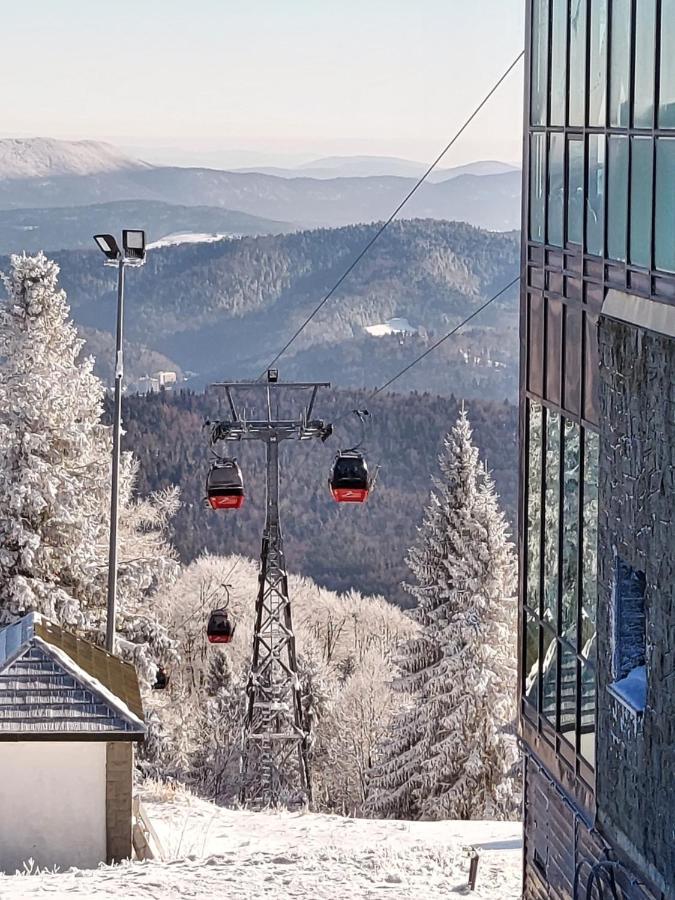Rent Krynica Zdroj